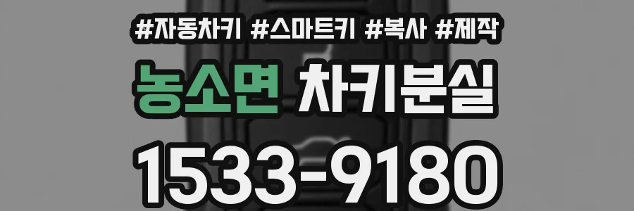 농소면 차키분실
