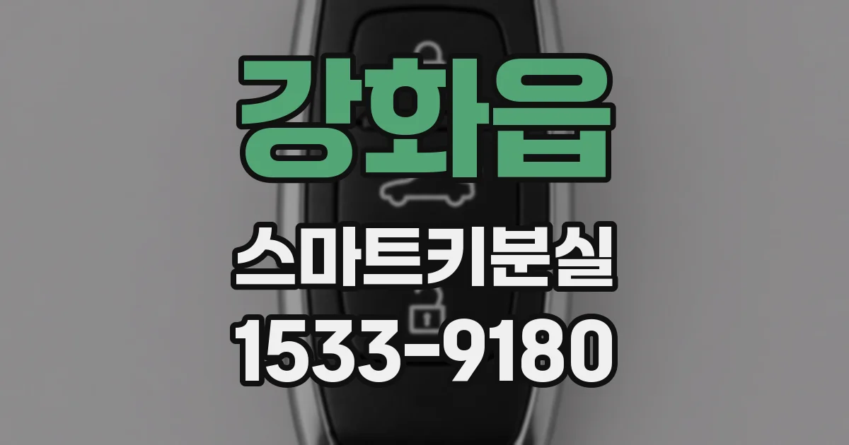 강화읍 스마트키분실