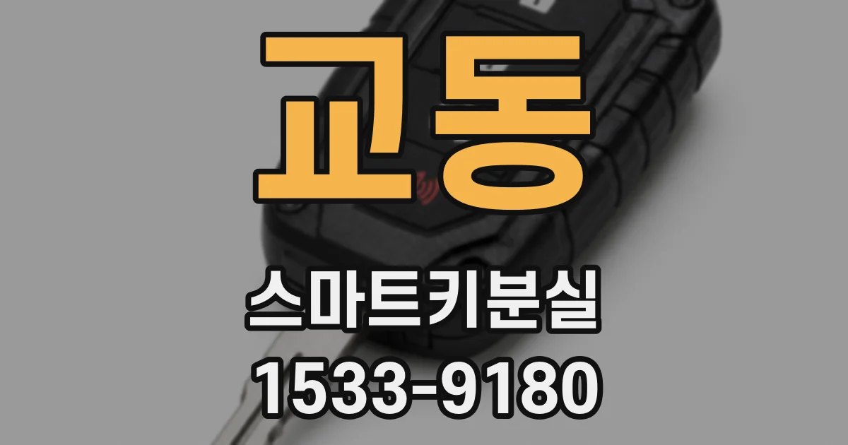 교동 스마트키분실