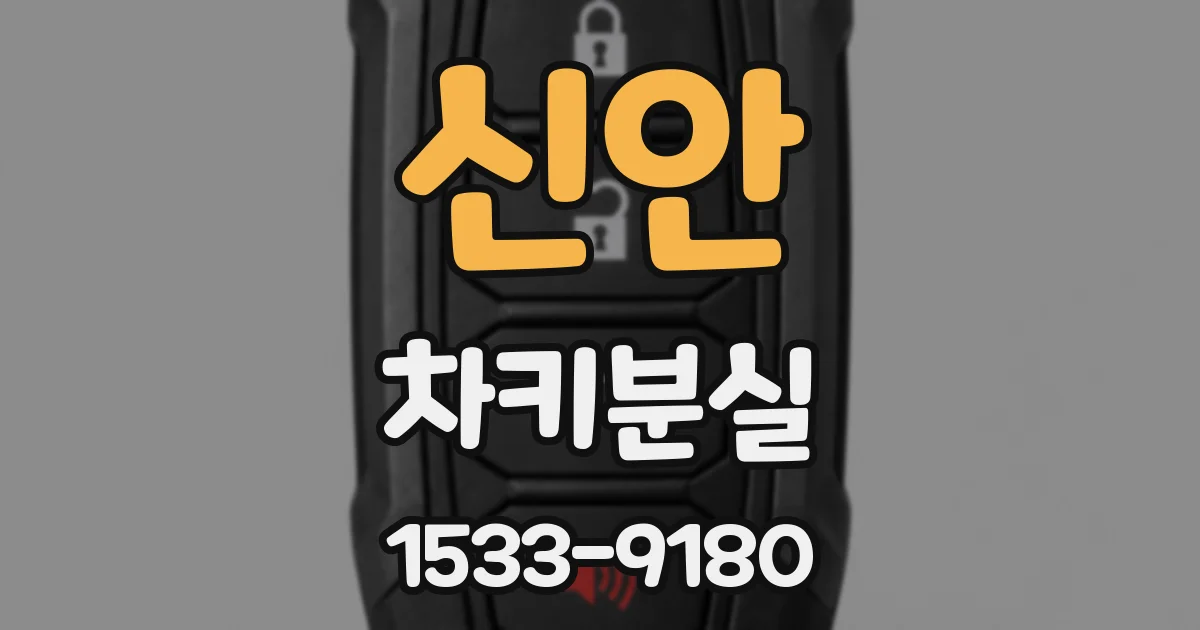 신안 차키분실