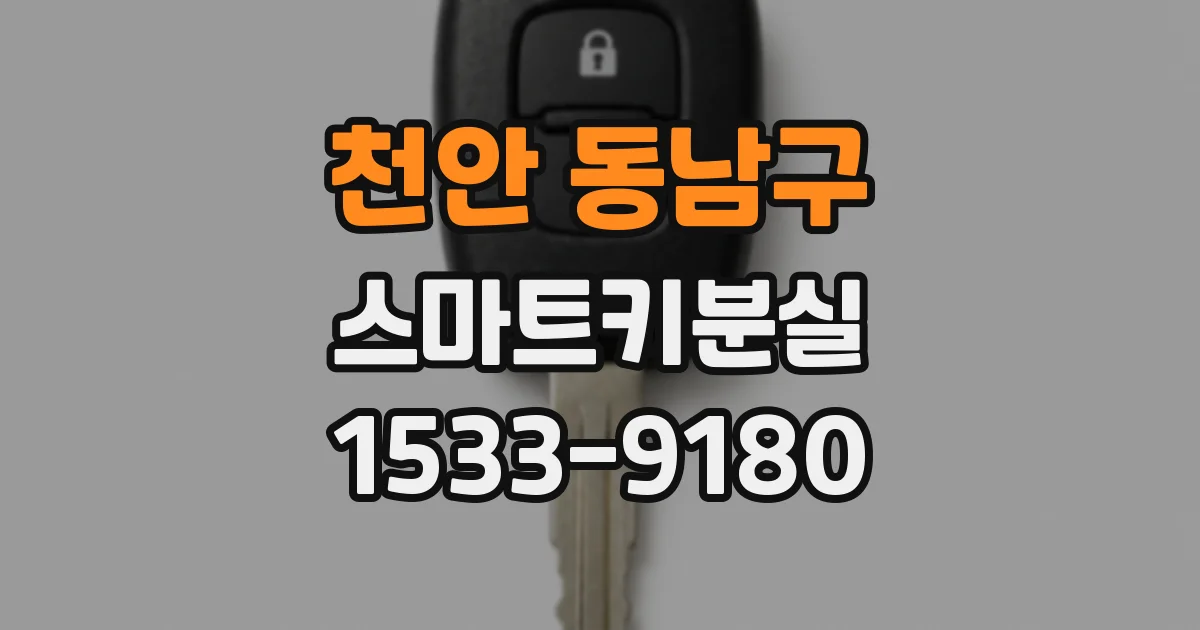 천안 동남구 스마트키분실