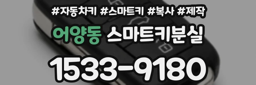 어양동 스마트키분실