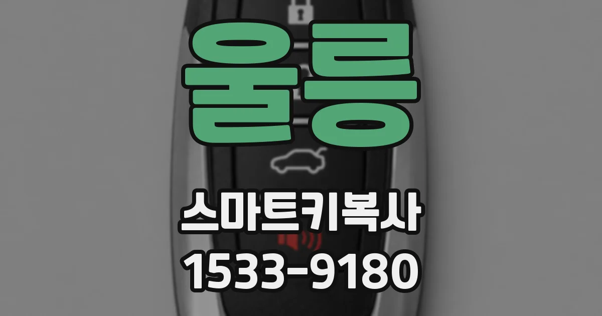 울릉 스마트키복사