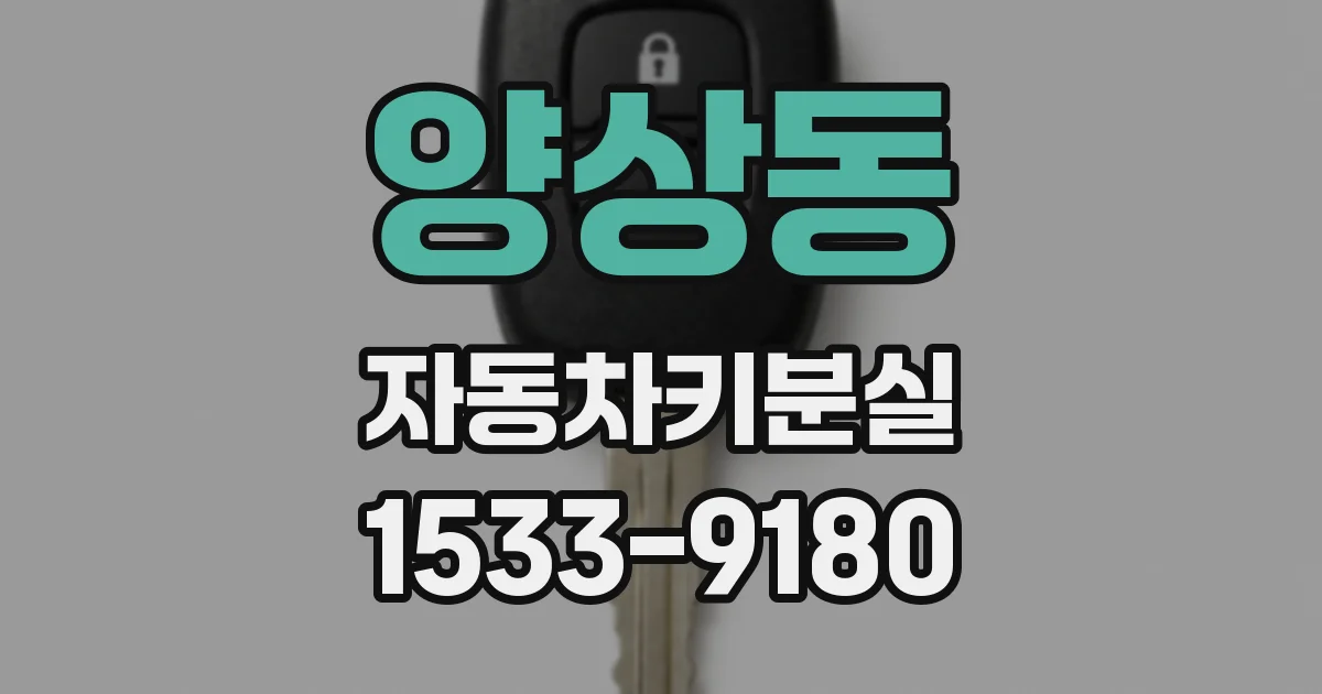 양상동 자동차키분실