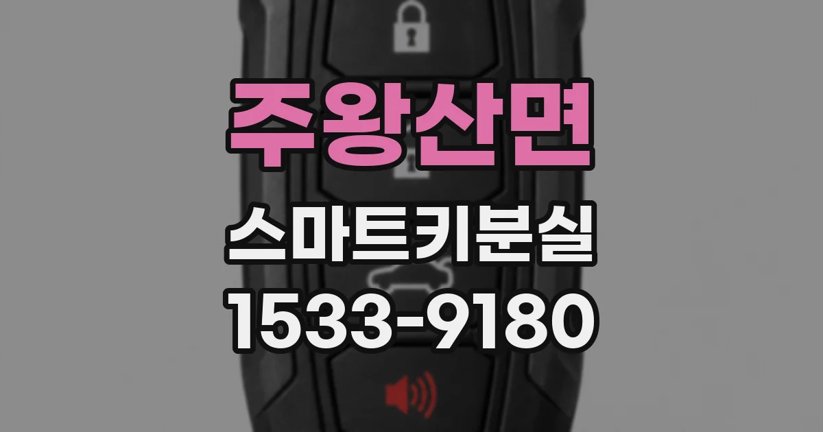 주왕산면 스마트키분실