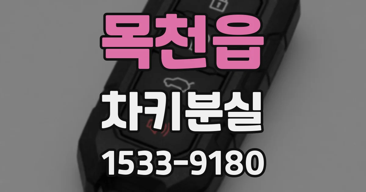 목천읍 차키분실