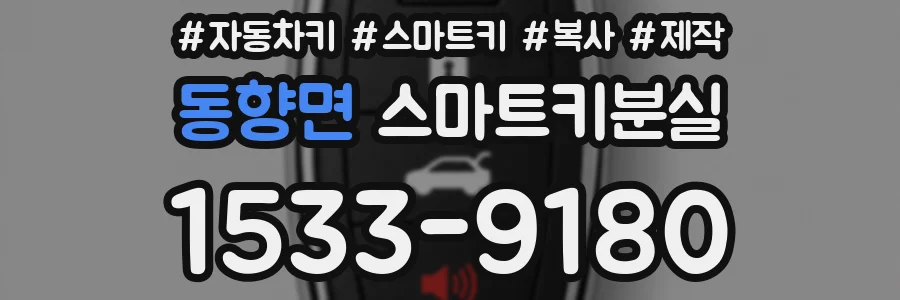 동향면 스마트키분실