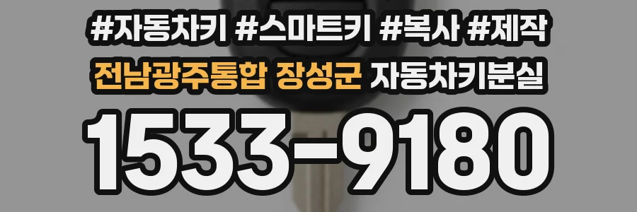 전남광주통합 장성군 자동차키분실