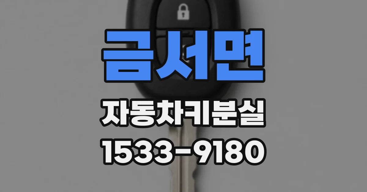 금서면 자동차키분실