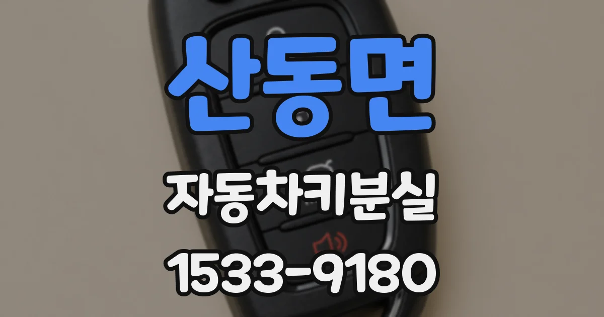산동면 자동차키분실