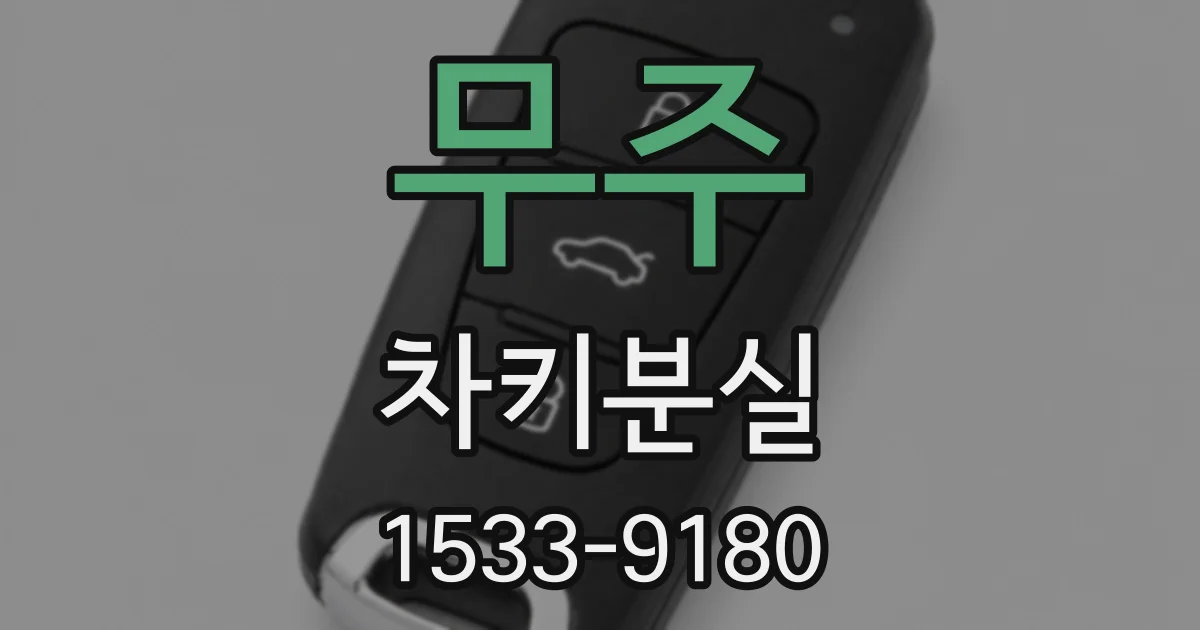 무주 차키분실