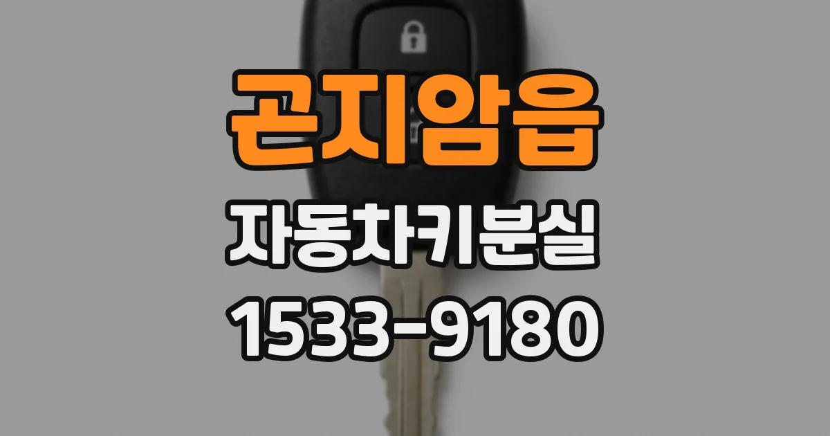 곤지암읍 자동차키분실