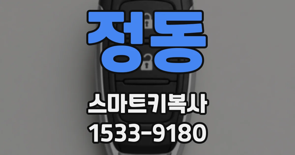정동 스마트키복사