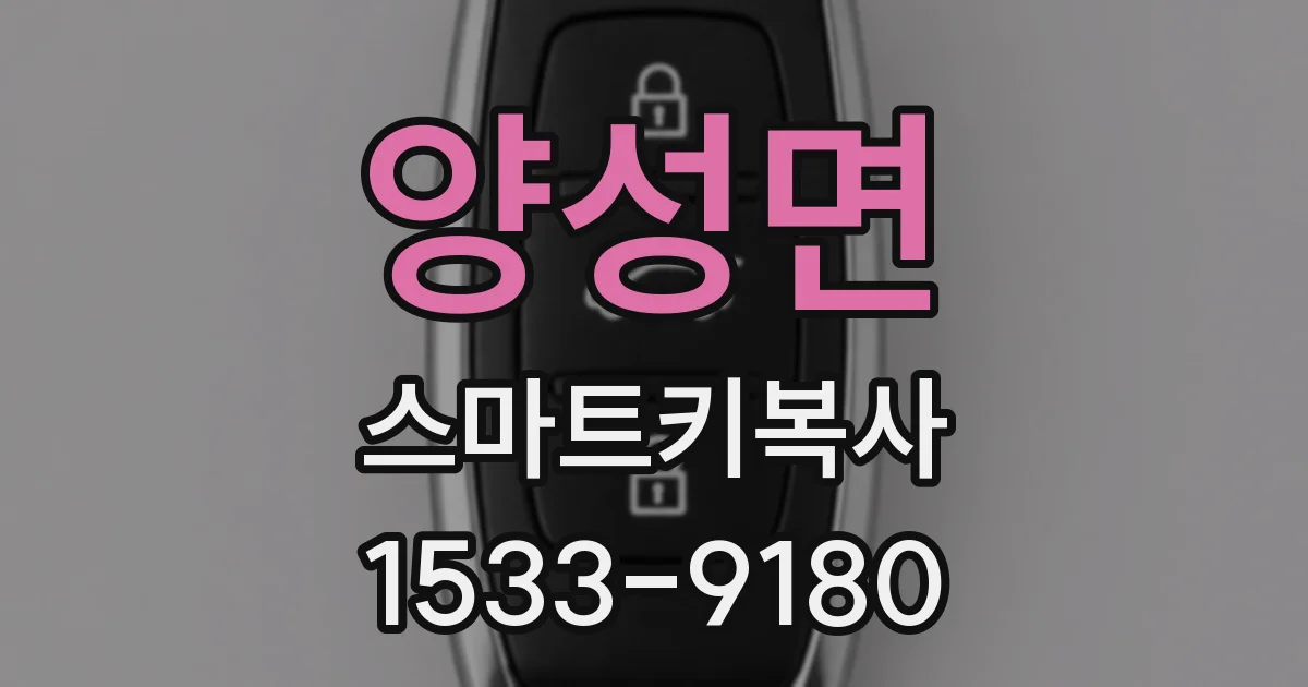 양성면 스마트키복사
