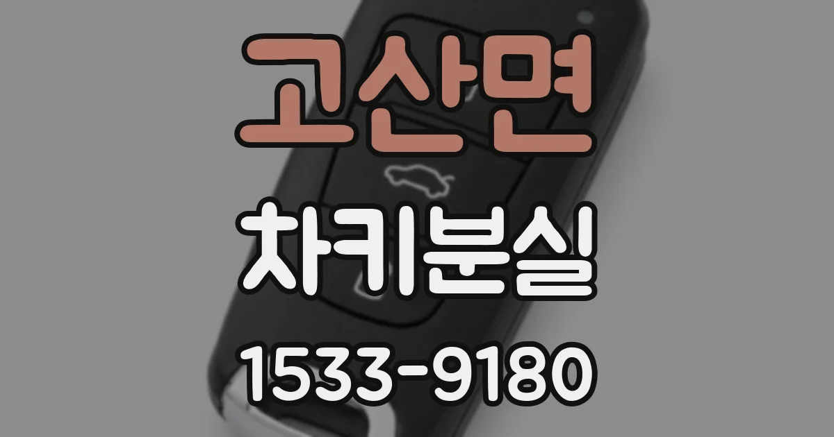 고산면 차키분실