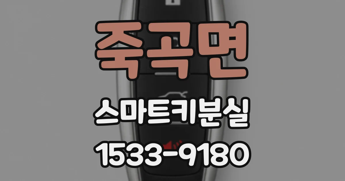 죽곡면 스마트키분실