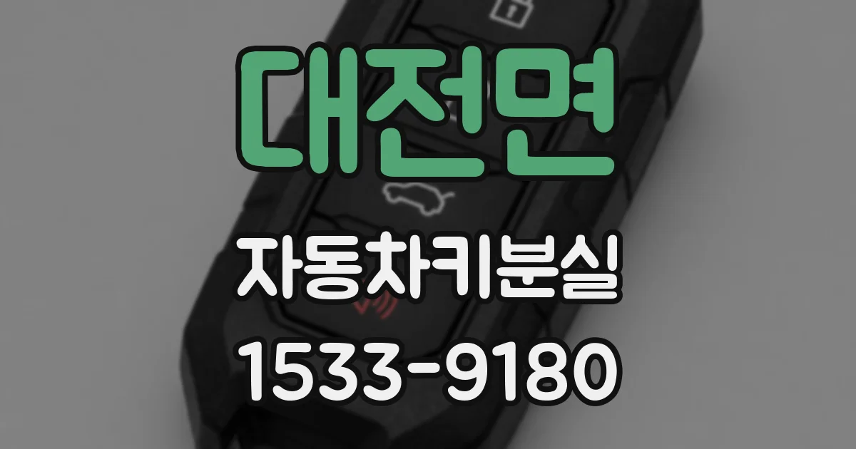 대전면 자동차키분실