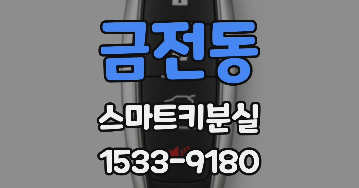 금전동 스마트키분실