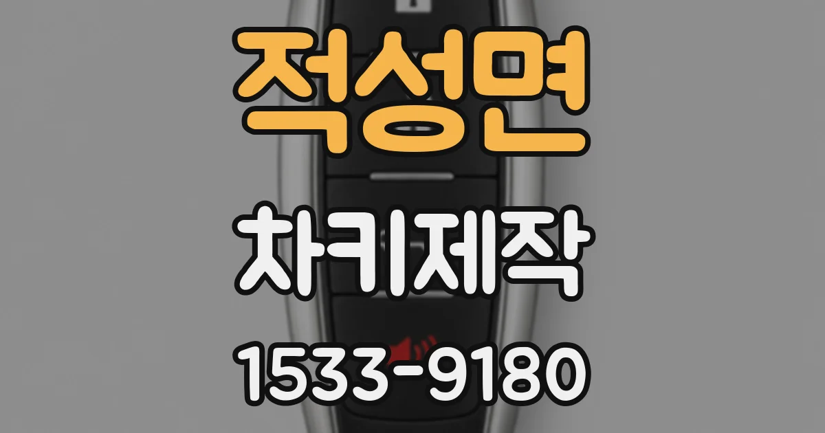 적성면 차키제작