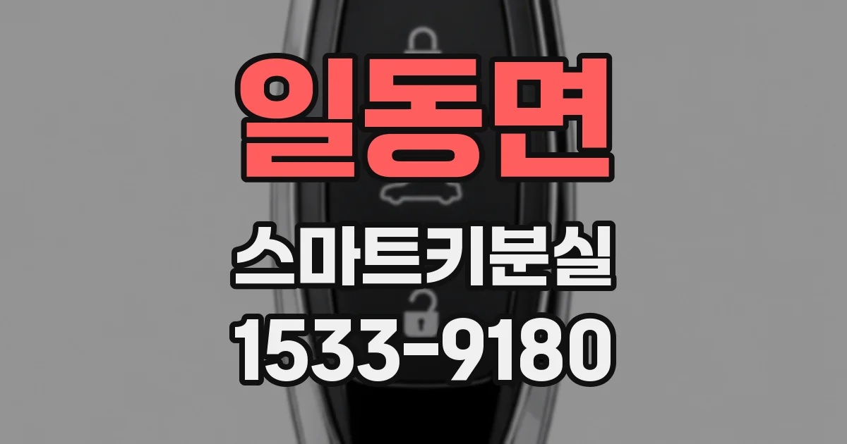 일동면 스마트키분실