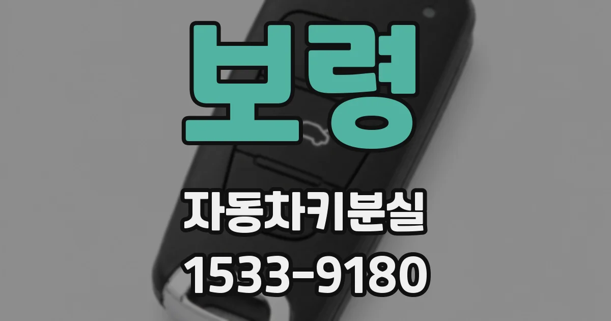 보령 자동차키분실