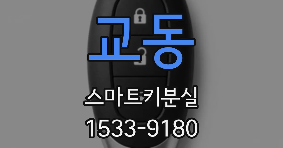 교동 스마트키분실