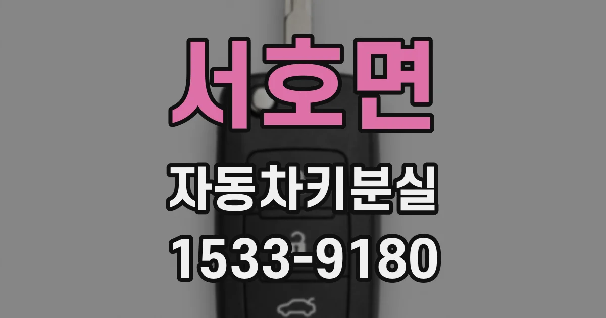 서호면 자동차키분실