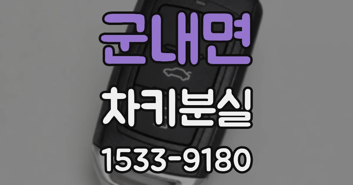군내면 차키분실