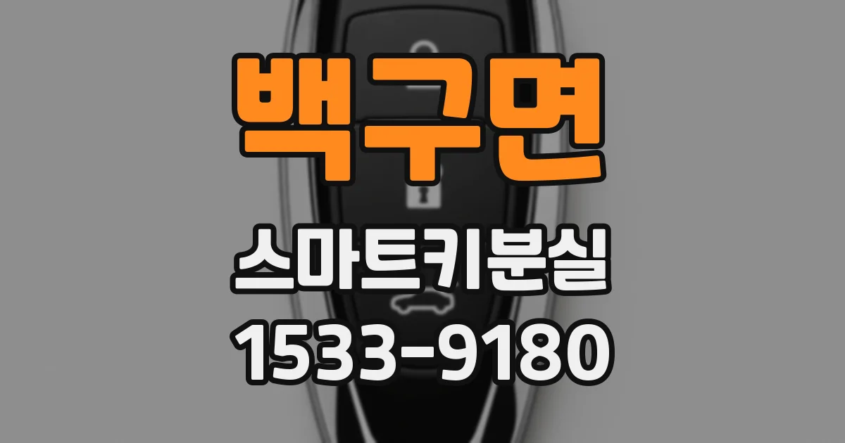 백구면 스마트키분실