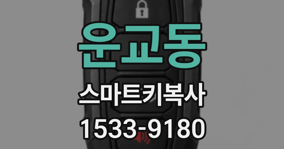 운교동 스마트키복사