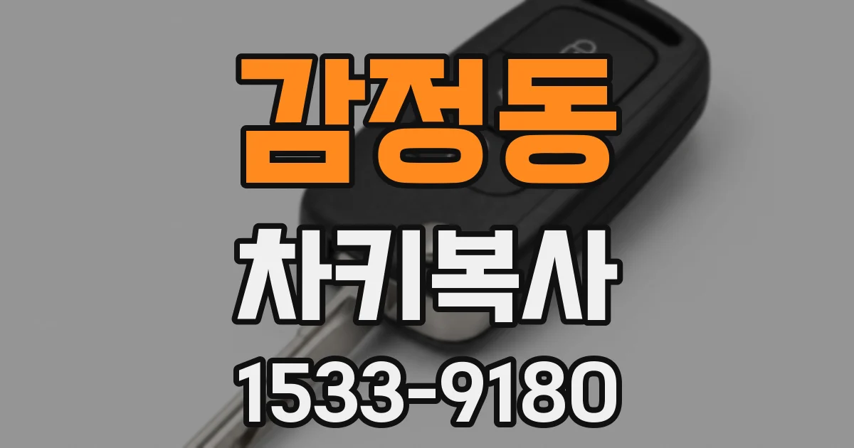 감정동 차키복사