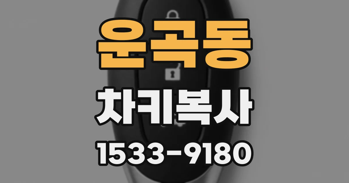 운곡동 차키복사