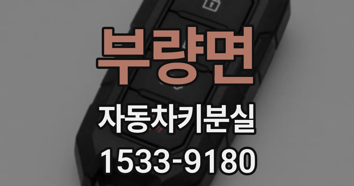 부량면 자동차키분실