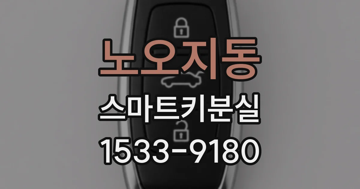 노오지동 스마트키분실