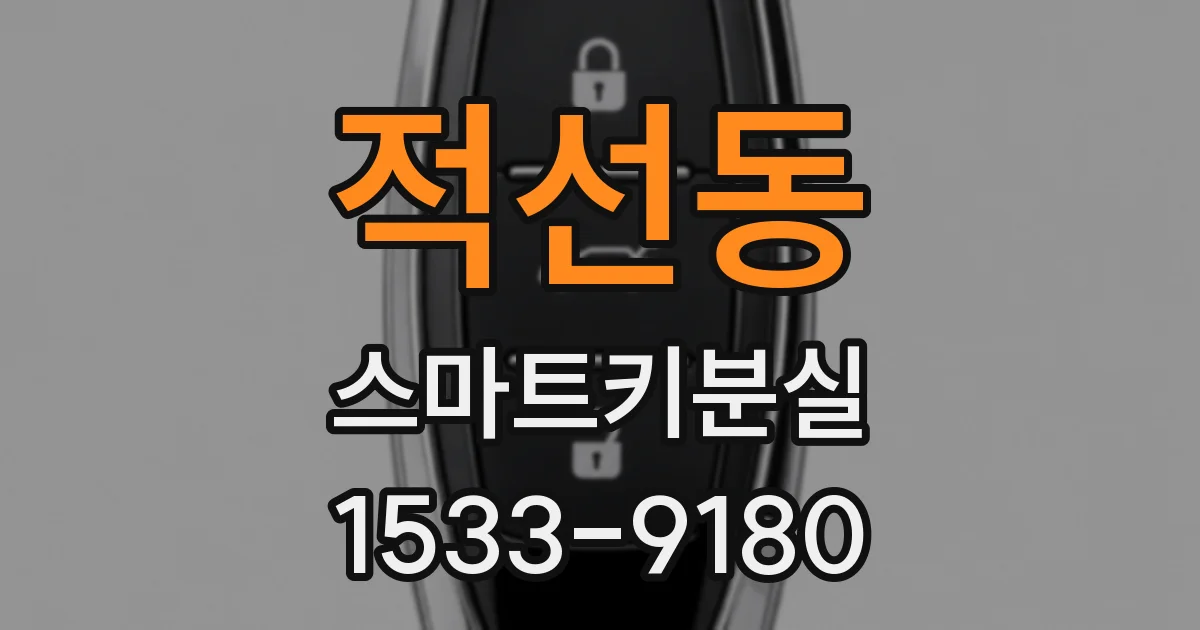 적선동 스마트키분실