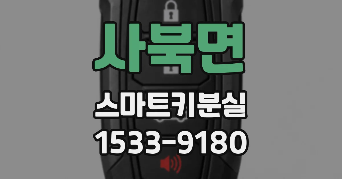 사북면 스마트키분실