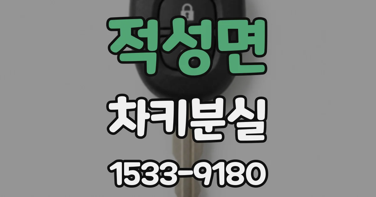 적성면 차키분실