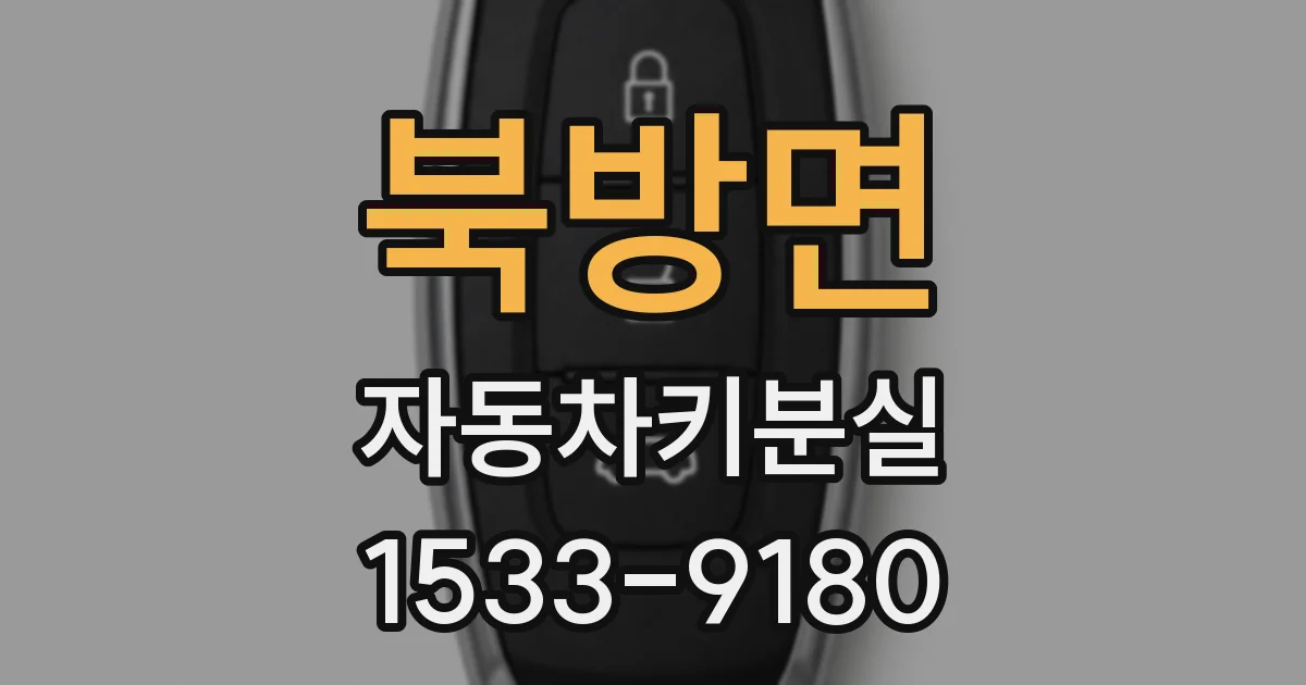 북방면 자동차키분실
