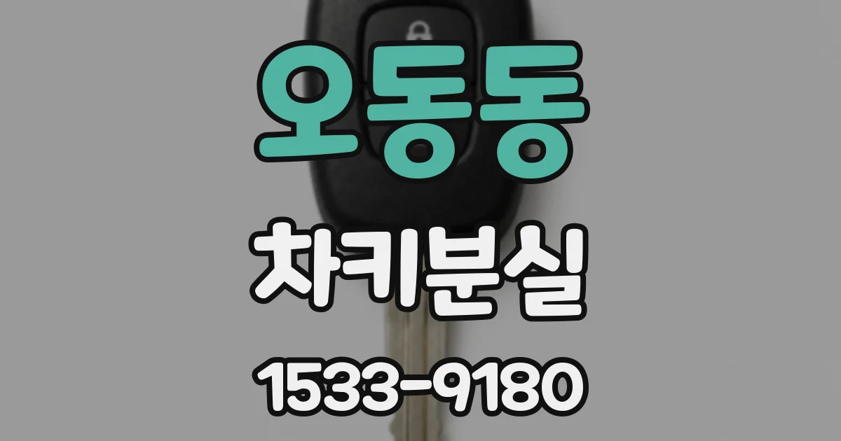 오동동 차키분실