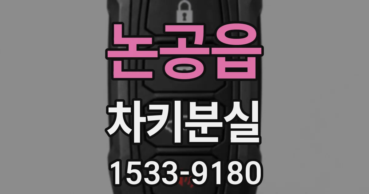 논공읍 차키분실