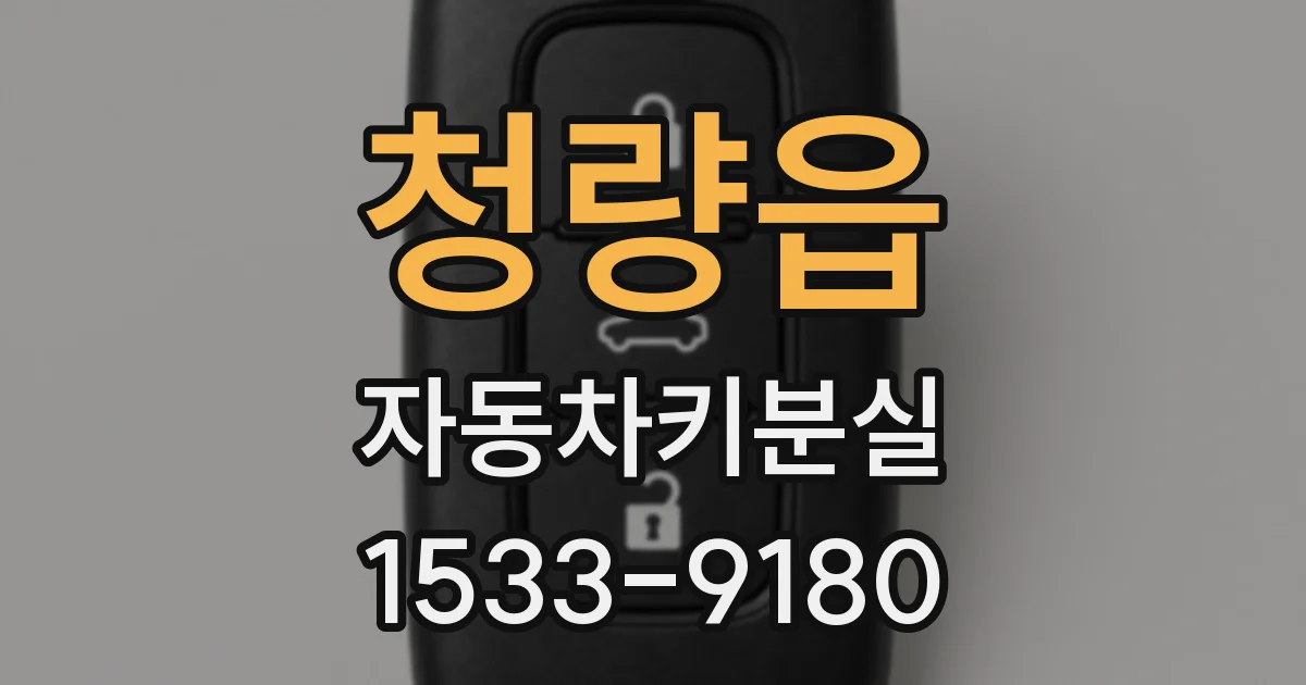 청량읍 자동차키분실