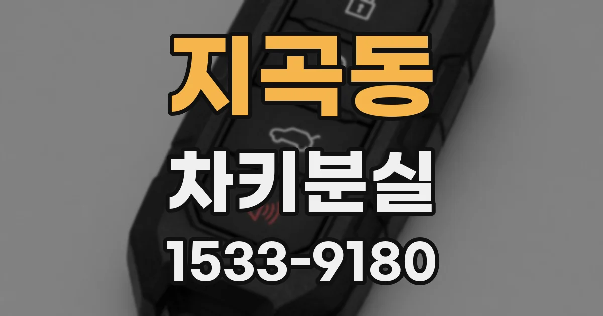 지곡동 차키분실