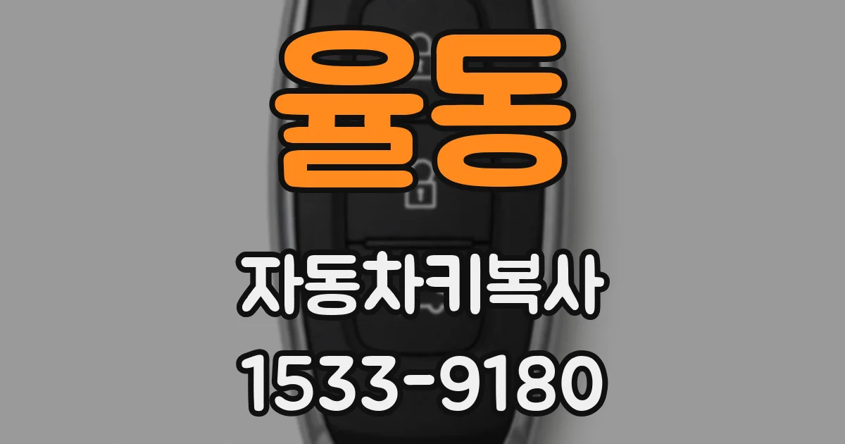 율동 자동차키복사