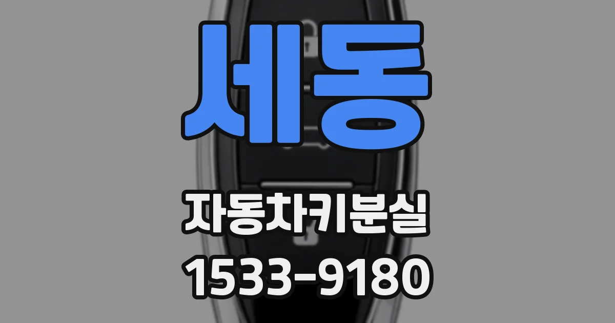 세동 자동차키분실