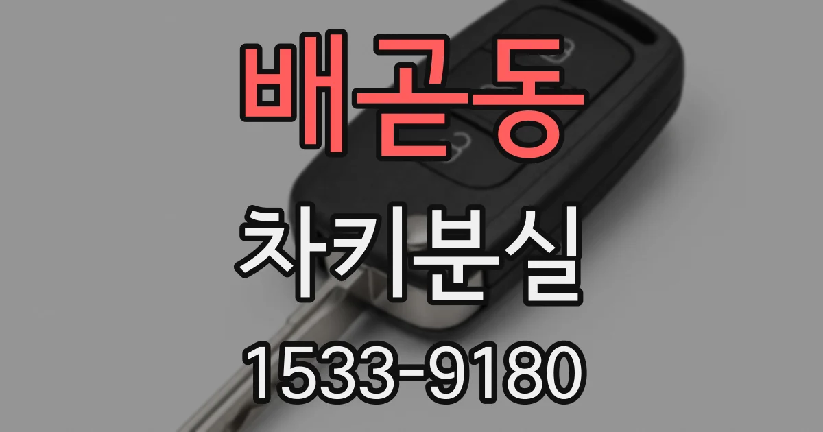 배곧동 차키분실