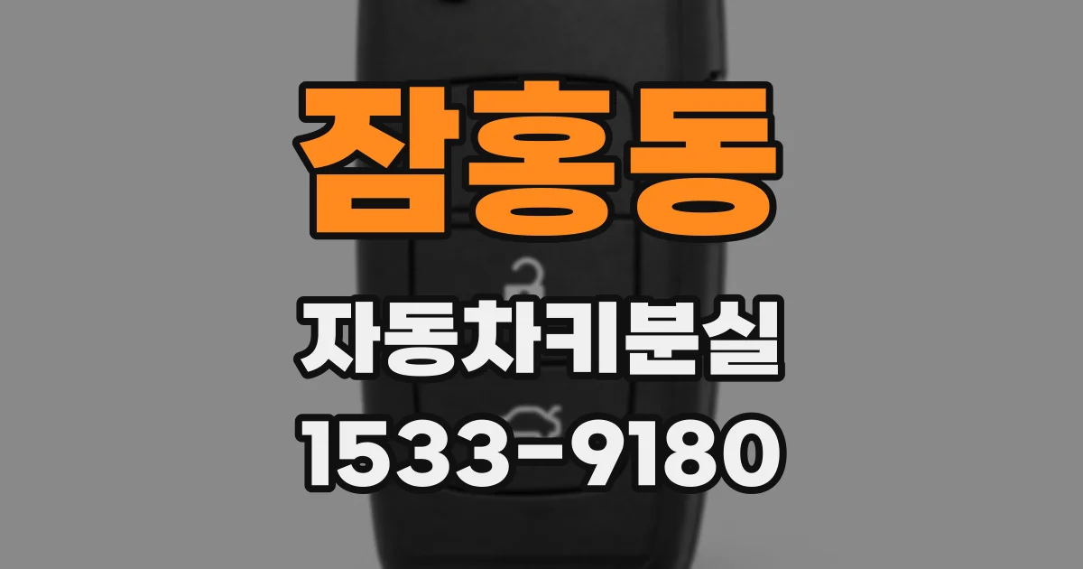 잠홍동 자동차키분실