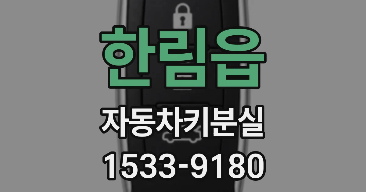 한림읍 자동차키분실