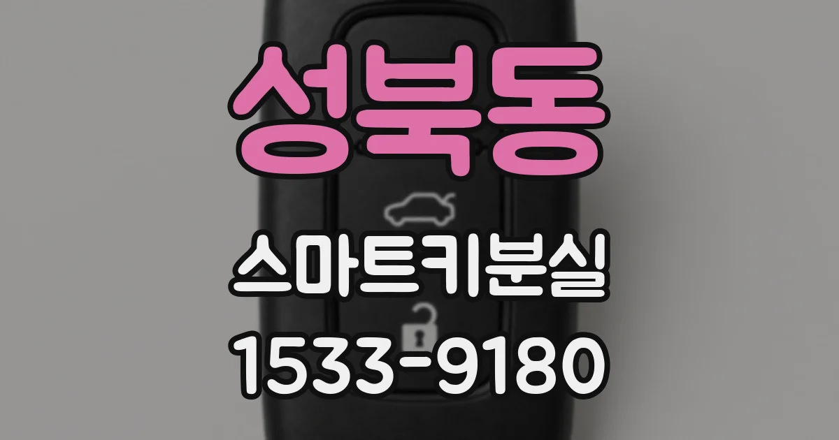 성북동 스마트키분실