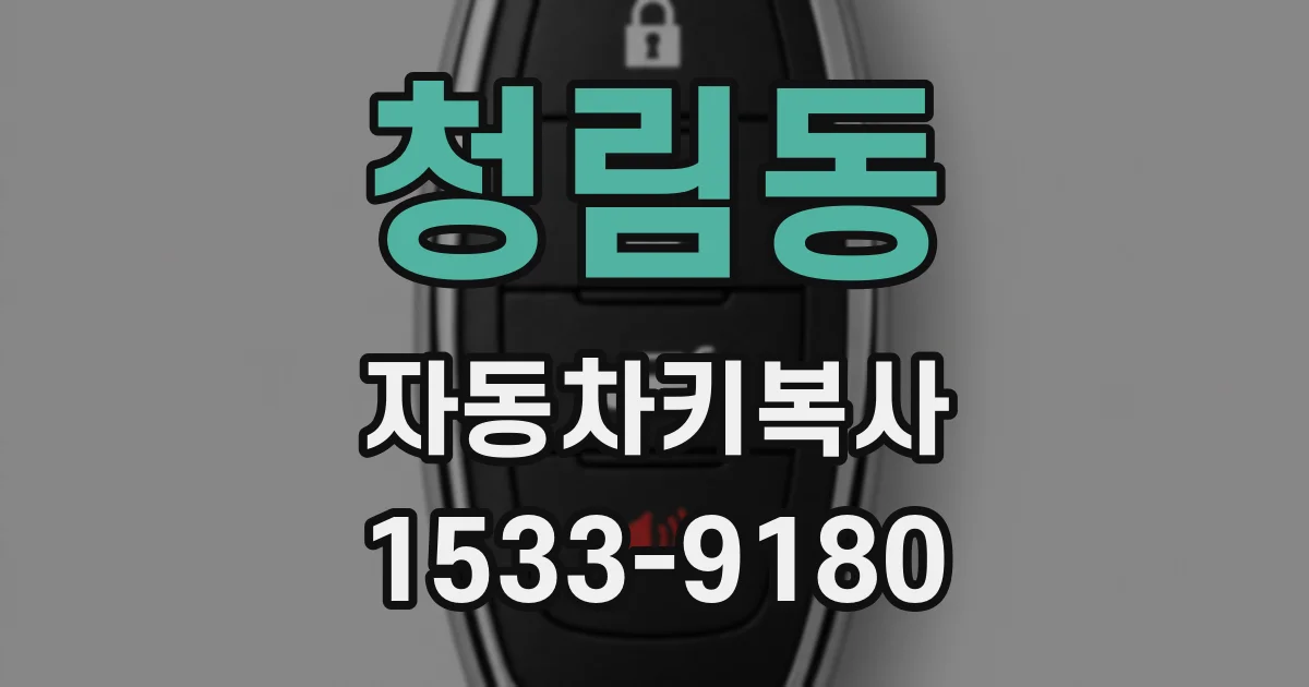 청림동 자동차키복사