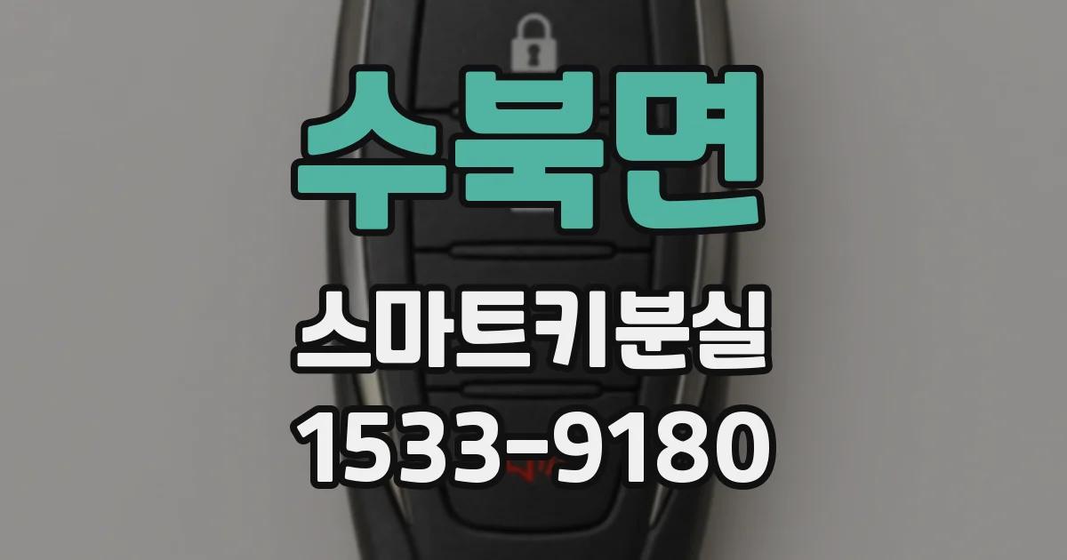 수북면 스마트키분실
